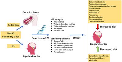 Causal effects of gut microbiota on the risk of bipolar disorder: a Mendelian randomization study